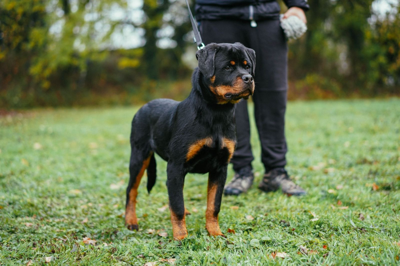 ATOMIK Von Der Paris Show